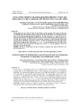 Tăng cường trường trao đổi dịch theo phương vuông góc trong hệ vật liệu [Co/Pd]/IrMn với lớp xen giữa CoFe siêu mỏng