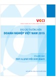 Báo cáo thường niên doanh nghiệp Việt Nam 2015 – Dịch vụ phát triển kinh doanh