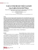 So sánh các kỹ thuật định danh vi khuẩn B. pseudomallei trong xét nghiệm chẩn đoán bệnh Whitmore