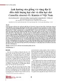 Ảnh hưởng của giống và vùng địa lý đến chất lượng hạt chè và dầu hạt chè Camellia sinensis O. Kuntze ở Việt Nam