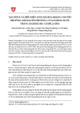 Tạo dòng và biểu hiện gene mã hóa kháng nguyên Rhoptry‐associated protein‐1 của Babesia bovis trong Escherichia colibl21 (DE3)