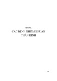 Các bệnh nhiễm khuẩn thần kinh