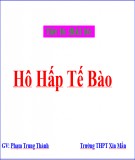 Bài giảng Sinh học 10 - Bài 16: Hô hấp tế bào - Phạm Trung Thành