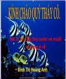 Bài giảng Sinh học 11 - Bài 1: Sự hấp thu nước và muối khoáng ở rễ (Đinh Thị Hoàng Anh)