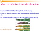 Bài giảng Sinh học 11 - Bài 4: Vai trò của các nguyên tố khoáng (Nguyễn Hoàng Quí)