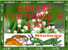 Bài giảng Sinh học 11 - Bài 15: Tiêu hóa (Nguyễn Phi Yến)