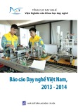 Báo cáo Giáo dục nghề nghiệp Việt Nam 2014