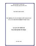 Luận án Tiến sĩ Kinh tế: Tác động của xuất khẩu lên năng suất của các doanh nghiệp ở Việt Nam