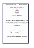 Summary of Doctoral thesis in Medicine: Study on screening results to detect lung cancer in subjects over 60 years old with risk factors by using low-dose computed tomography