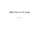 Bài giảng Bệnh học cơ tử cung (Phần 1)