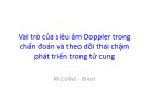 Bài giảng Vai trò của siêu âm Doppler trong chẩn đoán và theo dõi thai chậm phát triển trong tử cung