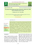 Physiological determinants and yield components as influenced by high density planting system in cotton