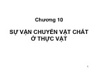 Bài giảng Sinh học đại cương (Phần 3): Chương 10 - ThS. Võ Thanh Phúc