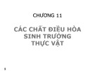 Bài giảng Sinh học đại cương (Phần 3): Chương 11 - ThS. Võ Thanh Phúc