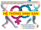 Bài thuyết trình môn Hành vi con người và môi trường 2: Hệ thống sinh sản