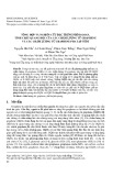 Tổng hợp và nghiên cứu đặc trưng phổ raman, tính chất quang học của các chấm lượng tử graphene và các chấm lượng tử graphene pha tạp nitơ