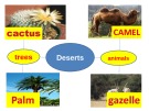 Bài giảng Tiếng Anh 12 - Unit 9: Deserts (Speaking)