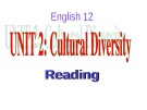 Bài giảng Tiếng Anh 12 - Unit 02: Cultural diversity (Reading)