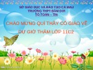 Bài giảng Đại số và Giải tích 11 - Bài 3: Một số phương trình lượng giác thường gặp (Tiết 4)