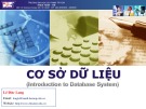 Bài giảng Cơ sở dữ liệu (Introdution to database system) - Chương 2: Mô hình thực thể kết hợp