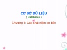 Bài giảng Cơ sở dữ liệu (Databases) - Chương 1a: Các khái niệm cơ bản