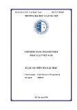 Luận án Tiến sĩ Luật học: Chế định mang thai hộ theo pháp luật Việt Nam