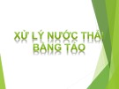 Bài giảng Xử lý nước thải bằng tảo