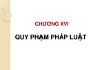 Bài giảng Lý luận nhà nước và pháp luật - Chương 16: Quy phạm pháp luật