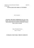 Summary of Doctoral thesis in Medicine: Studying the mRNA expression of CIZ1b, VEGF genes and egfr mutations with merkel cell virus infection in patients with non- small cell lung cancer