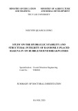 Summary of Doctoral dissertation: Study on the hydraulic stability and structural integrity of randomly-placed RAKUNA-IV on rubble mound breakwaters