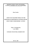 Summary of Doctoral dissertation Civil engineering: Effects of masonry infills on the responses of reinforced concrete frame structures under seismic actions