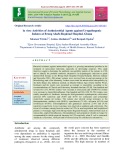 In vitro activities of antimicrobial agents against uropathogenic isolates at brong Ahafo regional hospital, Ghana