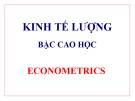 Bài giảng Kinh tế lượng (Bậc cao học)