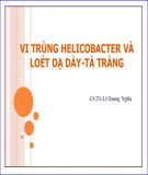 Bài giảng Vi trùng Helicobacter và loét dạ dày-tá tràng