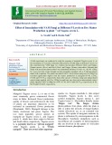 Effect of inoculation with vam fungi at different P levels on dry matter production (g plant -1 ) of Tagetes erecta L