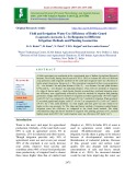 Yield and irrigation water use efficiency of bottle gourd (Lagenaria sicenaria L.) in response to different irrigation methods and planting geometries