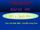 Bài giảng Giải tích 12 - Bài tập: Nguyên hàm