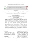 Improving socio-economic efficiency of Ho Chi Minh City’s FDI enterprises towards sustainable development