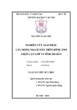 Luận án Tiến sĩ Y học: Nghiên cứu giải phẫu các động mạch não trên hình ảnh chụp cắt lớp vi tính 256 dãy