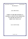 Luận án Tiến sĩ Y học: Nghiên cứu biểu hiện microrna-21, microrna-122 huyết tương ở bệnh nhân ung thư biểu mô tế bào gan nhiễm vi rút viêm gan B