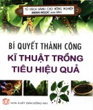 Kỹ thuật trồng tiêu hiệu quả: Phần 1