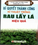 Kỹ thuật trồng rau lấy lá hiệu quả: Phần 1