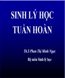 Bài giảng Sinh lý học tuần hoàn - Th.S Phan Thị Minh Ngọc