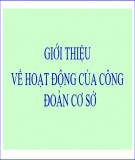 Bài giảng Giới thiệu về hoạt động của Công đoàn cơ sở