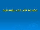 Bài giảng Giải phẫu cắt lớp sọ não