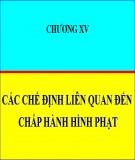 Bài giảng Các chế định liên quan đến chấp hành hình phạt