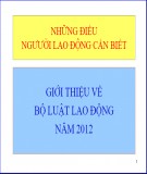 Bài giảng Giới thiệu về bộ Luật Lao động năm 2012