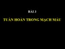 Bài giảng Tuần hoàn trong mạch máu