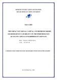 A dissertation submitted for the degree of Doctor of Phylosophy: The impact of social capital, entrepreneurship, and resilience capability on the performance of state-capital enterprises in Vietnam