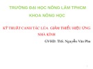 Bài thuyết trình Kỹ thuật canh tác lúa giảm thiểu hiệu ứng nhà kính